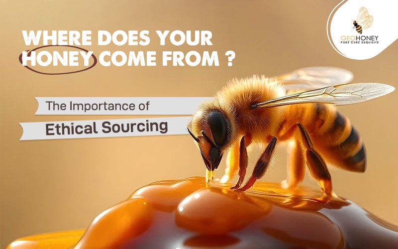 Where Does Your Honey Come From? The Importance of Ethical Sourcing